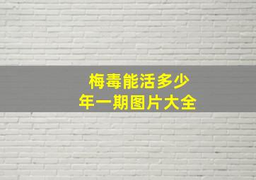 梅毒能活多少年一期图片大全