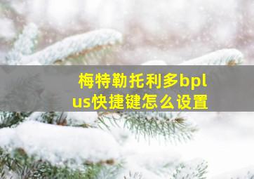 梅特勒托利多bplus快捷键怎么设置