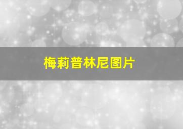 梅莉普林尼图片