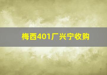 梅西401厂兴宁收购