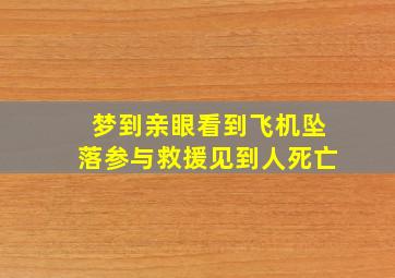 梦到亲眼看到飞机坠落参与救援见到人死亡