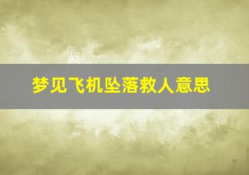 梦见飞机坠落救人意思