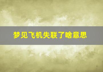 梦见飞机失联了啥意思