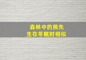 森林中的熊先生在冬眠时相似