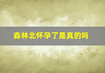 森林北怀孕了是真的吗