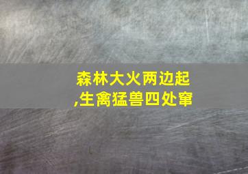 森林大火两边起,生禽猛兽四处窜