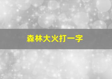 森林大火打一字