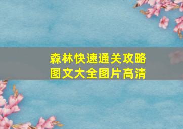 森林快速通关攻略图文大全图片高清