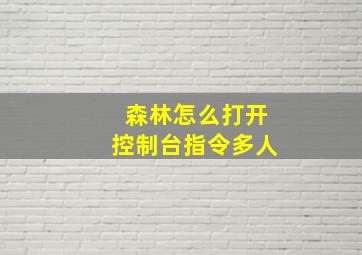 森林怎么打开控制台指令多人