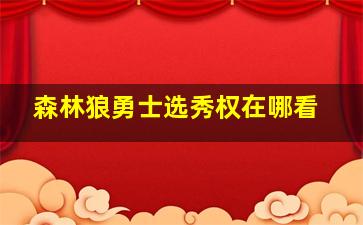 森林狼勇士选秀权在哪看