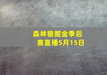 森林狼掘金季后赛直播5月15日