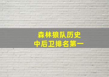 森林狼队历史中后卫排名第一