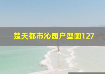 楚天都市沁园户型图127