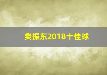 樊振东2018十佳球