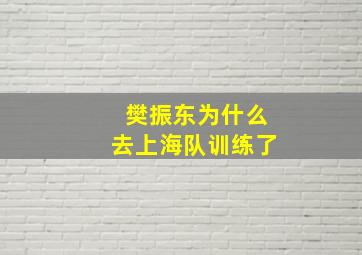 樊振东为什么去上海队训练了