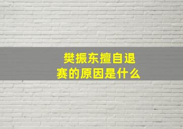 樊振东擅自退赛的原因是什么