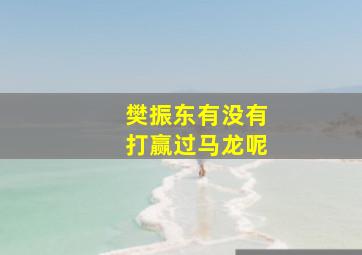 樊振东有没有打赢过马龙呢