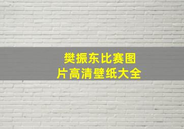 樊振东比赛图片高清壁纸大全