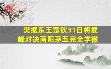 樊振东王楚钦31日将巅峰对决南阳茅五完全学檄