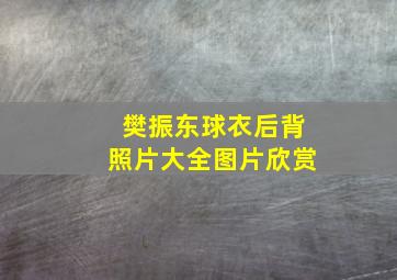 樊振东球衣后背照片大全图片欣赏