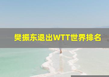 樊振东退出WTT世界排名