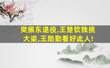 樊振东退役,王楚钦独挑大梁,王励勤看好此人!