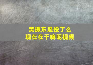 樊振东退役了么现在在干嘛呢视频