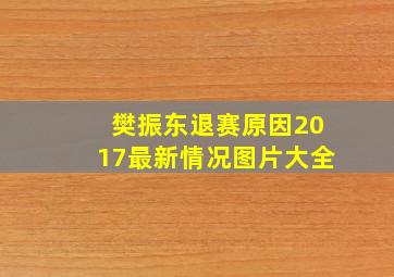 樊振东退赛原因2017最新情况图片大全