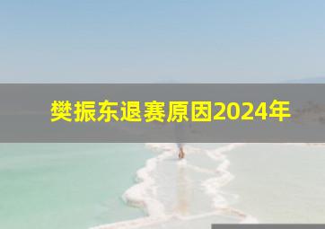 樊振东退赛原因2024年