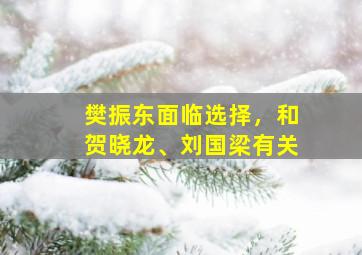 樊振东面临选择，和贺晓龙、刘国梁有关