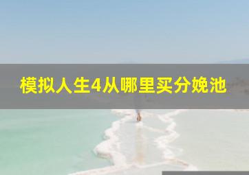 模拟人生4从哪里买分娩池