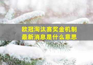 欧冠淘汰赛奖金机制最新消息是什么意思