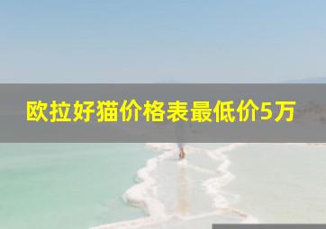 欧拉好猫价格表最低价5万