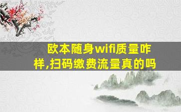 欧本随身wifi质量咋样,扫码缴费流量真的吗