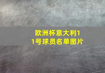 欧洲杯意大利11号球员名单图片