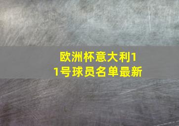 欧洲杯意大利11号球员名单最新