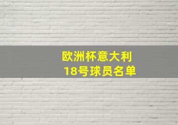 欧洲杯意大利18号球员名单