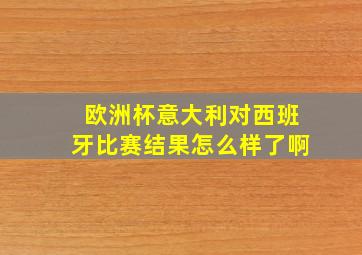 欧洲杯意大利对西班牙比赛结果怎么样了啊