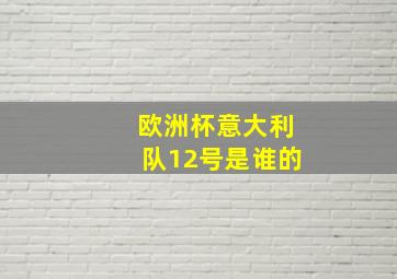 欧洲杯意大利队12号是谁的