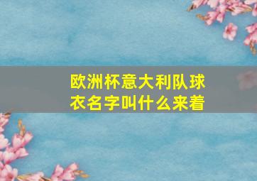 欧洲杯意大利队球衣名字叫什么来着