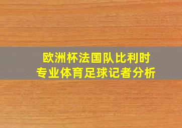 欧洲杯法国队比利时专业体育足球记者分析