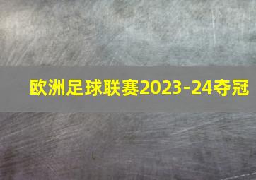 欧洲足球联赛2023-24夺冠