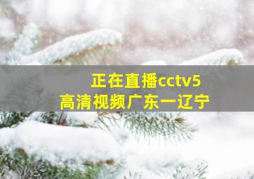 正在直播cctv5高清视频广东一辽宁