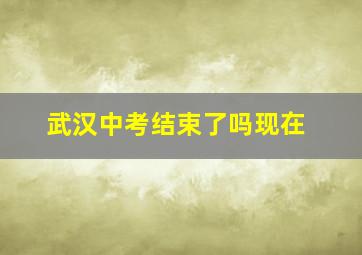 武汉中考结束了吗现在