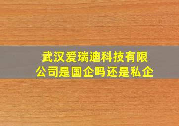 武汉爱瑞迪科技有限公司是国企吗还是私企