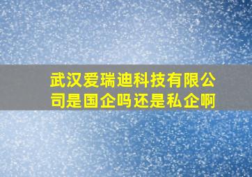 武汉爱瑞迪科技有限公司是国企吗还是私企啊