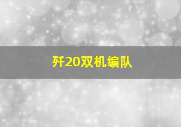 歼20双机编队