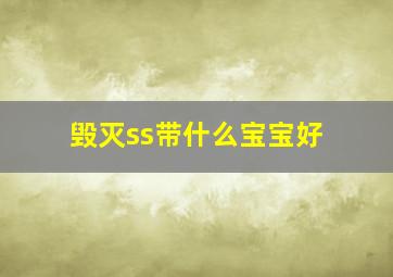 毁灭ss带什么宝宝好