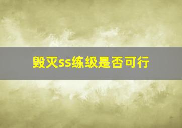 毁灭ss练级是否可行