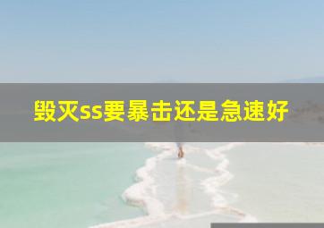 毁灭ss要暴击还是急速好